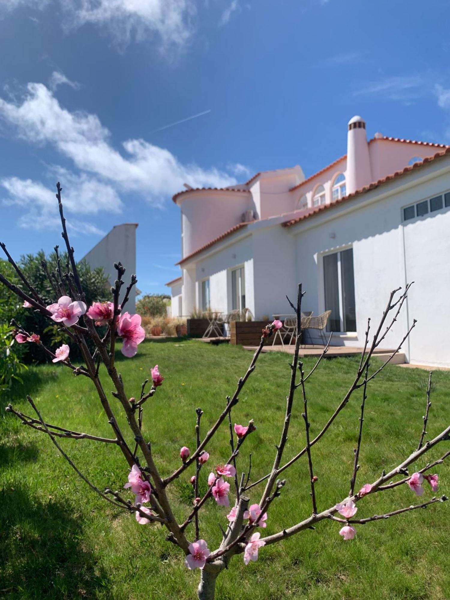 Sunday Morning Guesthouse Aljezur Extérieur photo